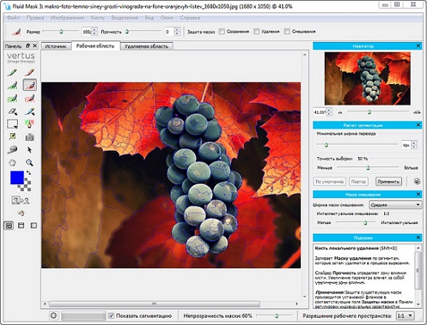 Vertus Fluid Mask 3.3.12.48734 + Portable Vertus Fluid Mask 3.3.12.48734 + Portable